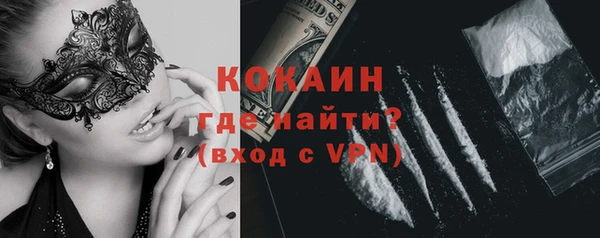 мяу мяу мука Аркадак