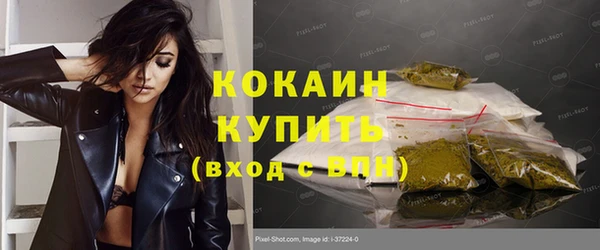 ПСИЛОЦИБИНОВЫЕ ГРИБЫ Баксан