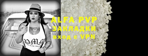 гашик Арсеньев