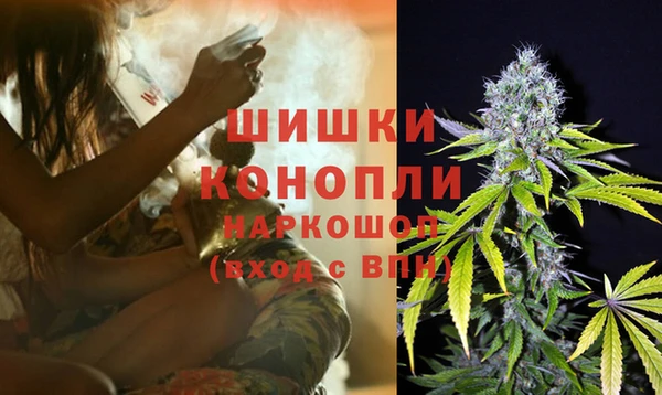дживик Слюдянка