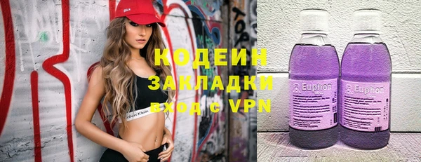 гашик Арсеньев