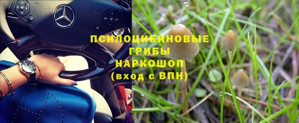 мяу мяу мука Аркадак