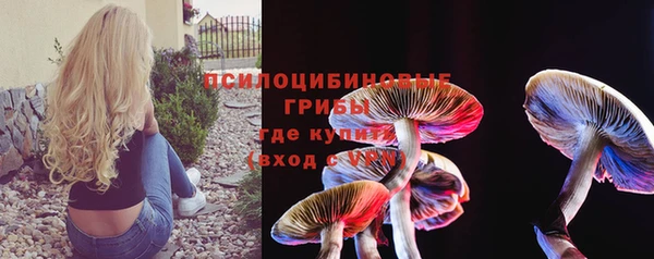 гашик Арсеньев