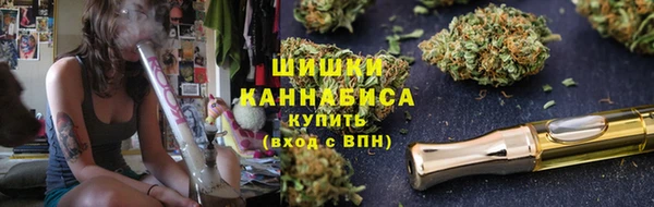 мяу мяу мука Аркадак